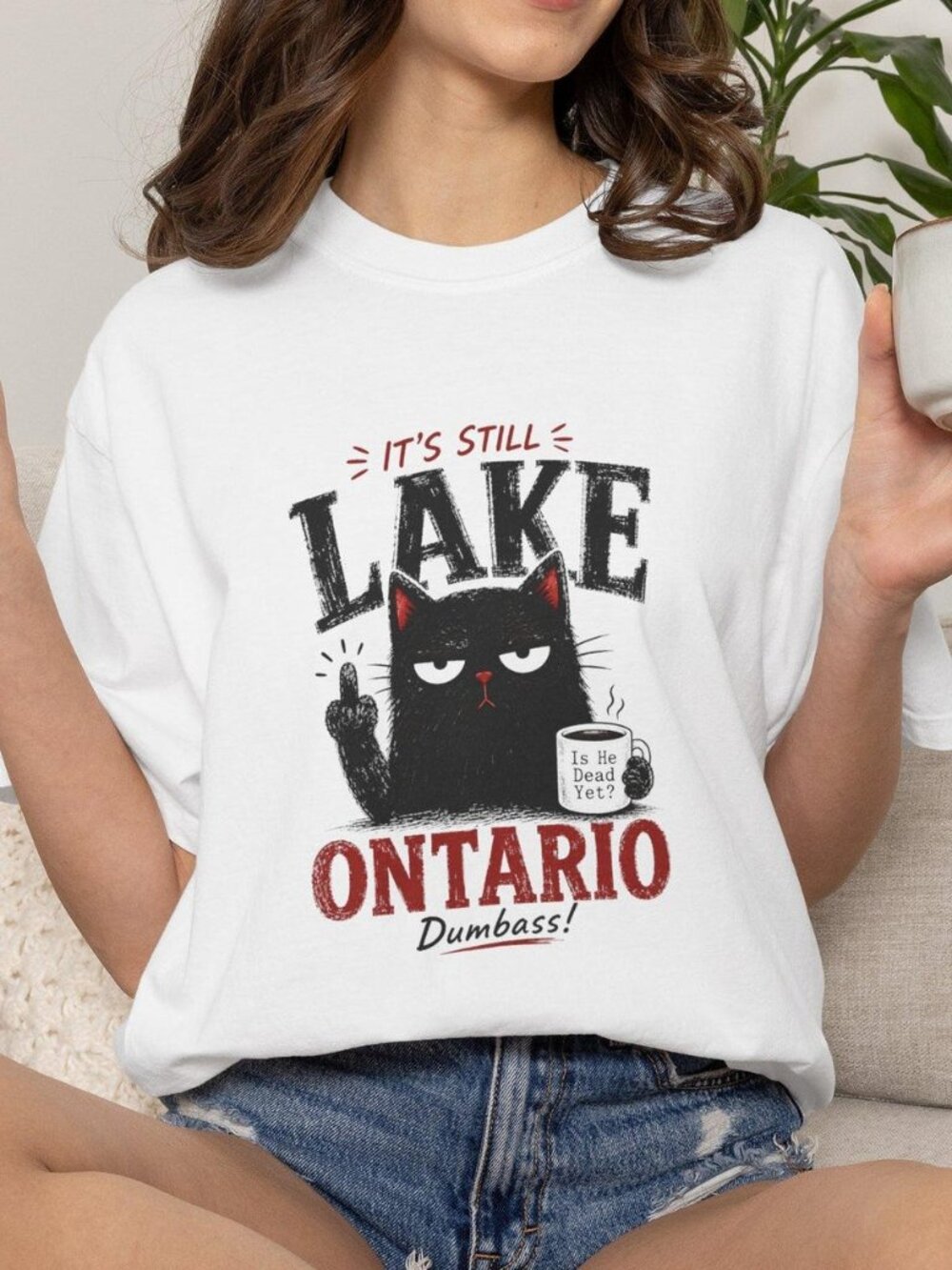 It’s Still Lake Ontario Anti Trump Graphic Tee, Subtle FDT Shirt
